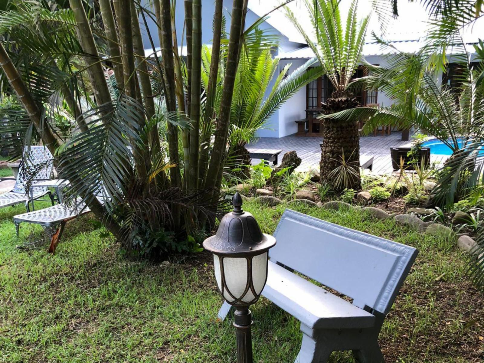 Leopard Tree Lodge, Palm Tree, Plant, Nature, Wood