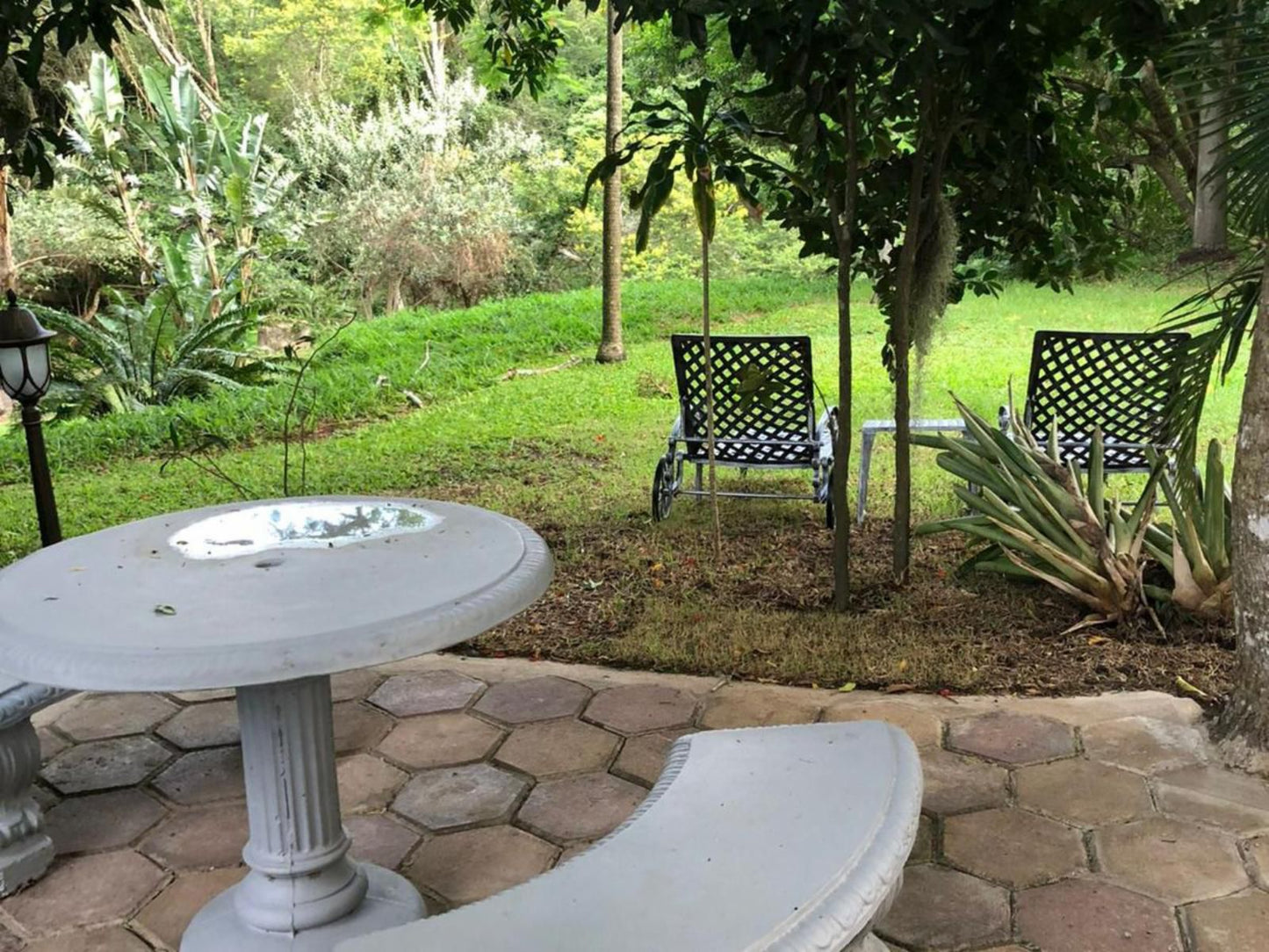 Leopard Tree Lodge, Palm Tree, Plant, Nature, Wood, Garden