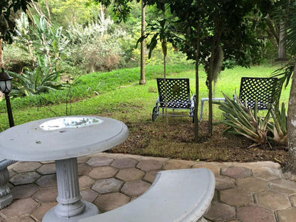 Leopard Tree Lodge, Palm Tree, Plant, Nature, Wood, Garden