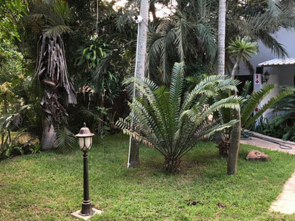 Leopard Tree Lodge, Palm Tree, Plant, Nature, Wood