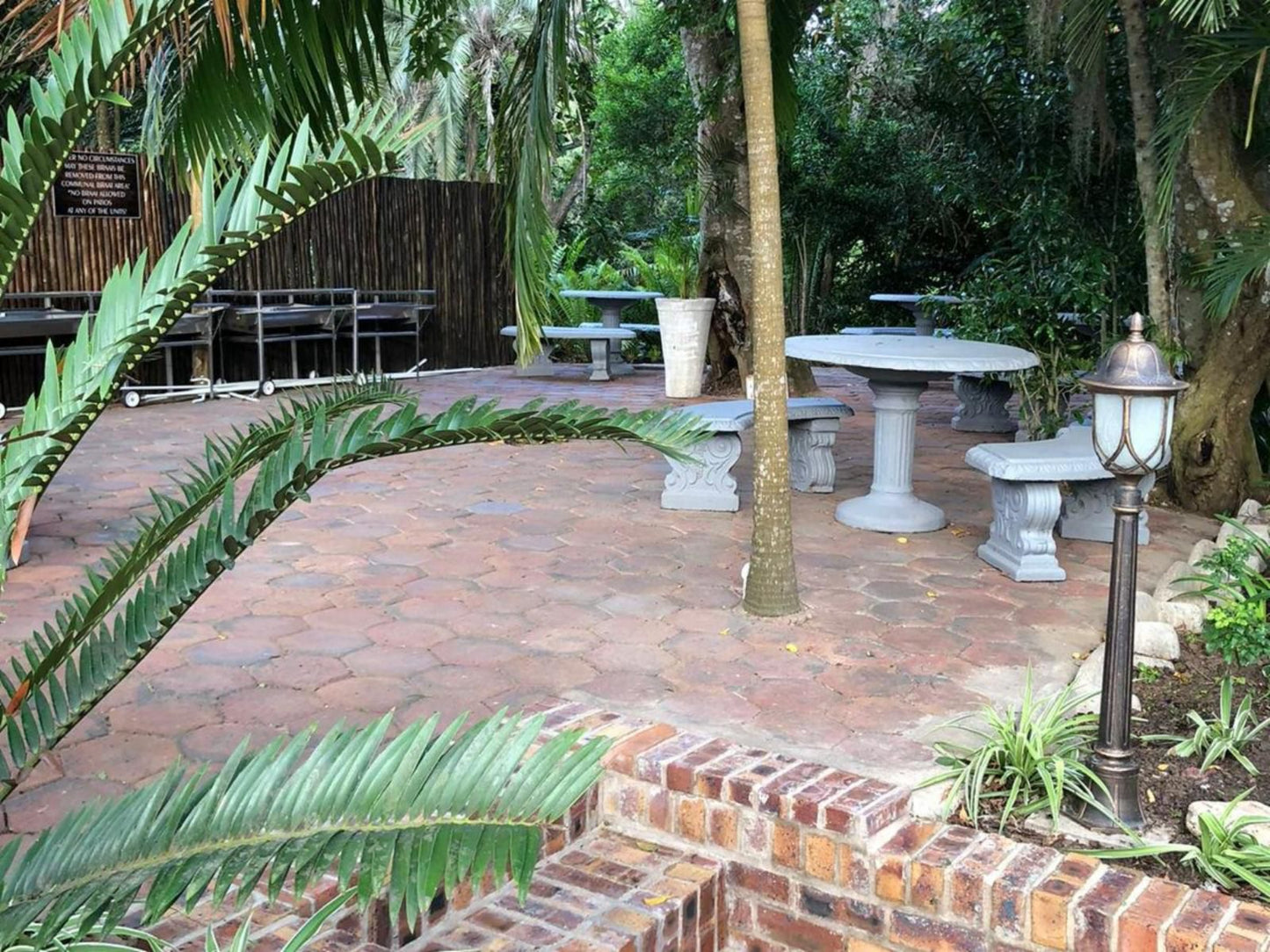 Leopard Tree Lodge, Palm Tree, Plant, Nature, Wood, Garden