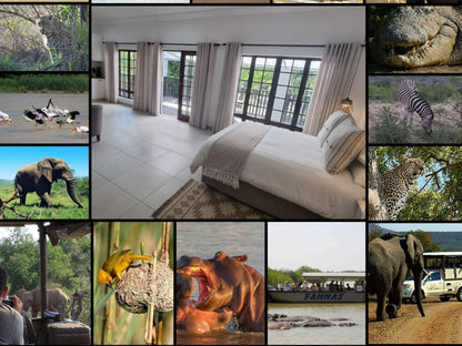 Leopard Tree Lodge, Bedroom, Person