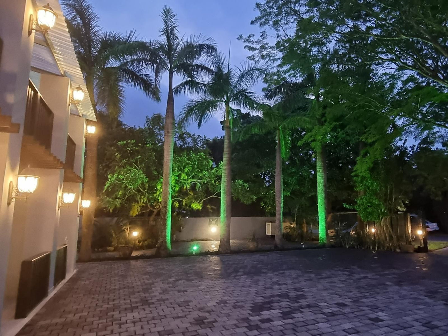 Leopard Tree Lodge, Palm Tree, Plant, Nature, Wood