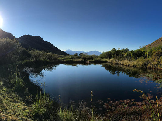 Cape Sugarbird @ Leopard Valley Eco Retreat