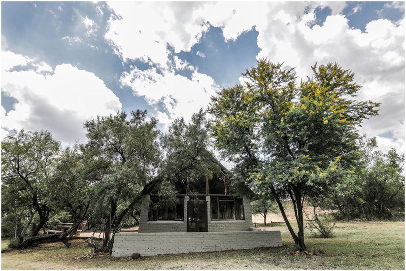 Leopard Lodge Hartbeespoort Dam Hartbeespoort North West Province South Africa Tree, Plant, Nature, Wood