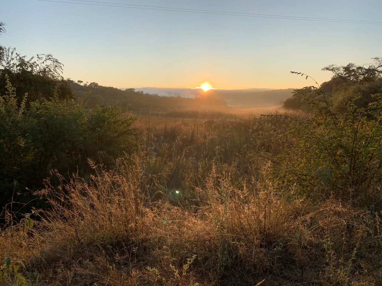 Leopard Lodge And The Cubs Lephalale Ellisras Limpopo Province South Africa Nature, Sunset, Sky