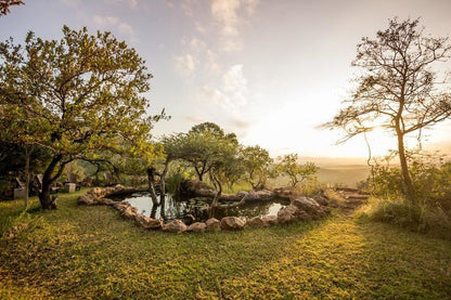 Leopard Mountain Safari Lodge Manyoni Private Game Reserve Kwazulu Natal South Africa Tree, Plant, Nature, Wood