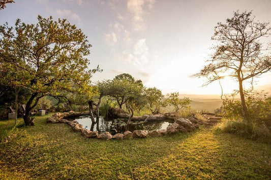 Leopard Mountain Safari Lodge Manyoni Private Game Reserve Kwazulu Natal South Africa Tree, Plant, Nature, Wood