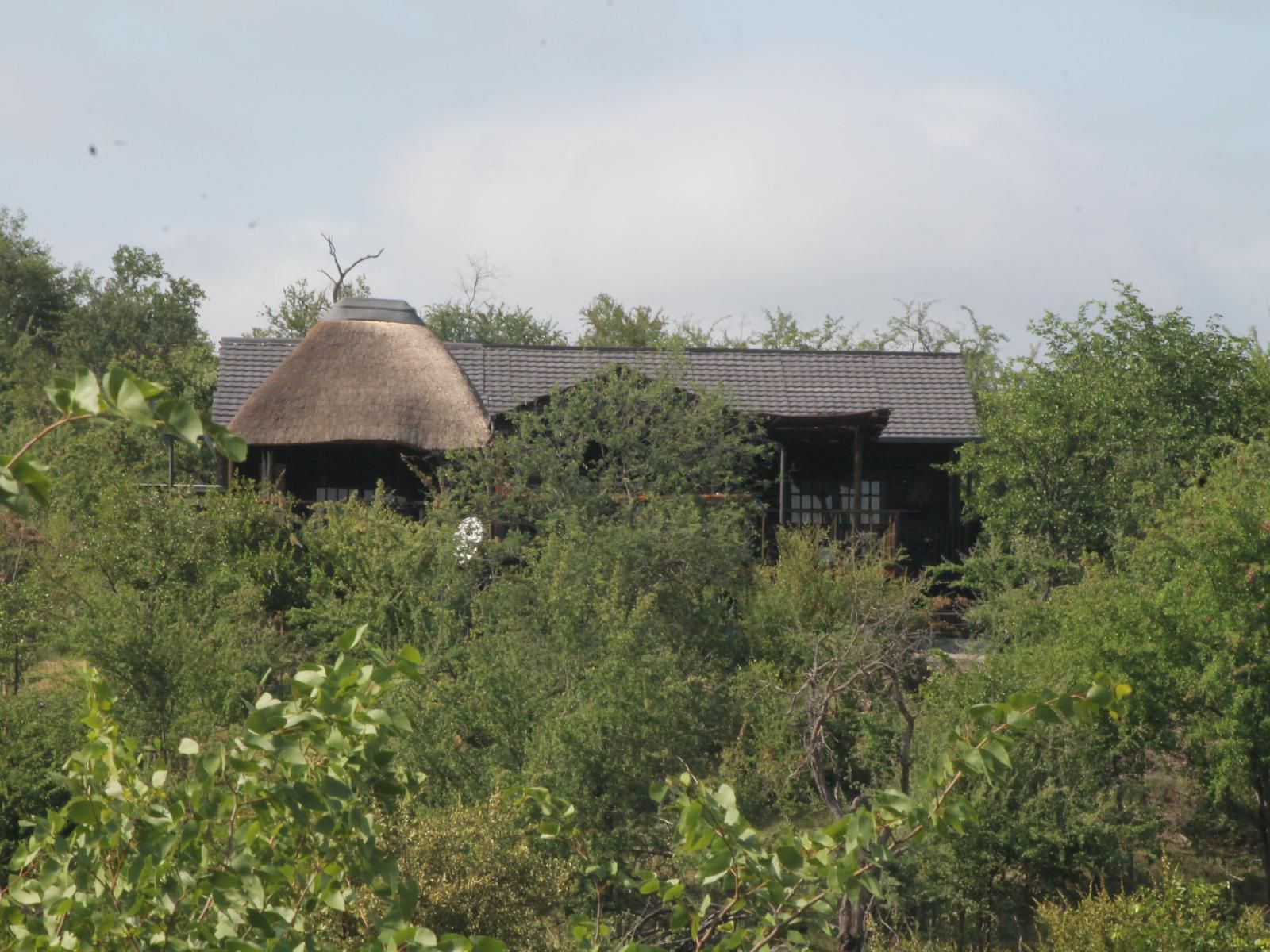 Leopard Rock Bush Lodge Grietjie Nature Reserve Limpopo Province South Africa Building, Architecture