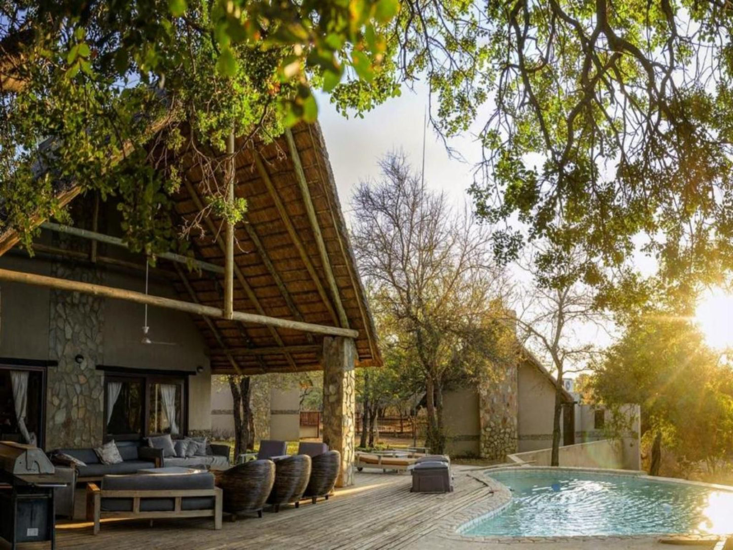 Leopard S Lair Bush Lodge Hoedspruit Limpopo Province South Africa House, Building, Architecture, Swimming Pool