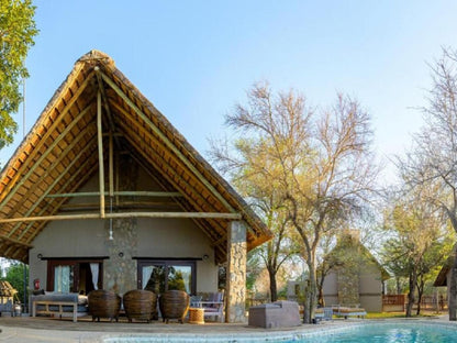 Leopard S Lair Bush Lodge Hoedspruit Limpopo Province South Africa Complementary Colors