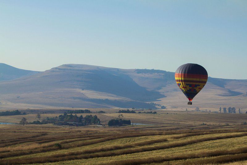 Leopard S Lair Estcourt Kwazulu Natal South Africa Hot Air Balloon, Vehicle, Nature