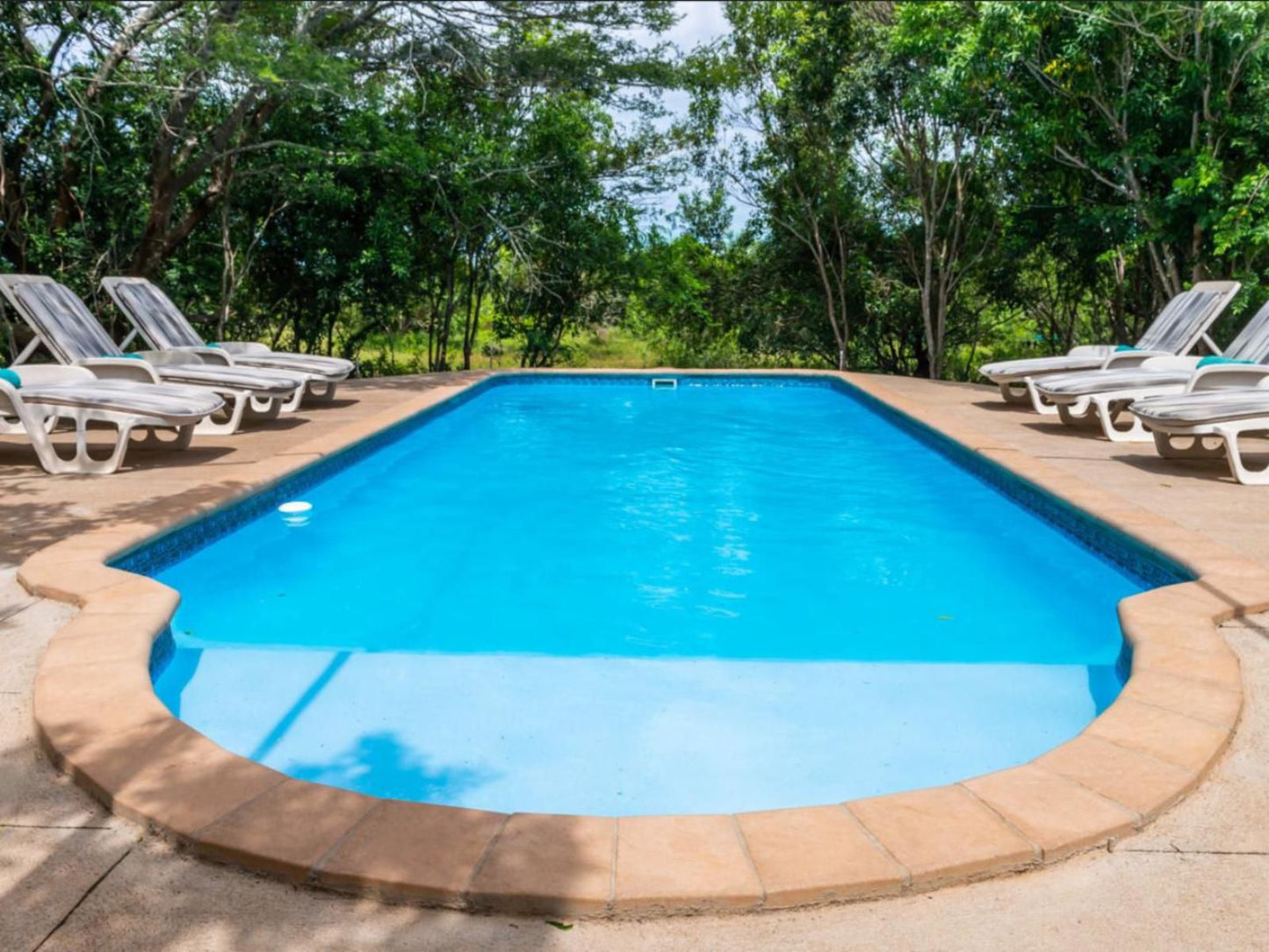 Leopard Walk Lodge Hluhluwe Kwazulu Natal South Africa Complementary Colors, Swimming Pool