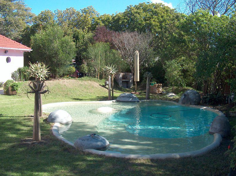 Le Palais D Afrique Pinelands Cape Town Western Cape South Africa Garden, Nature, Plant, Swimming Pool