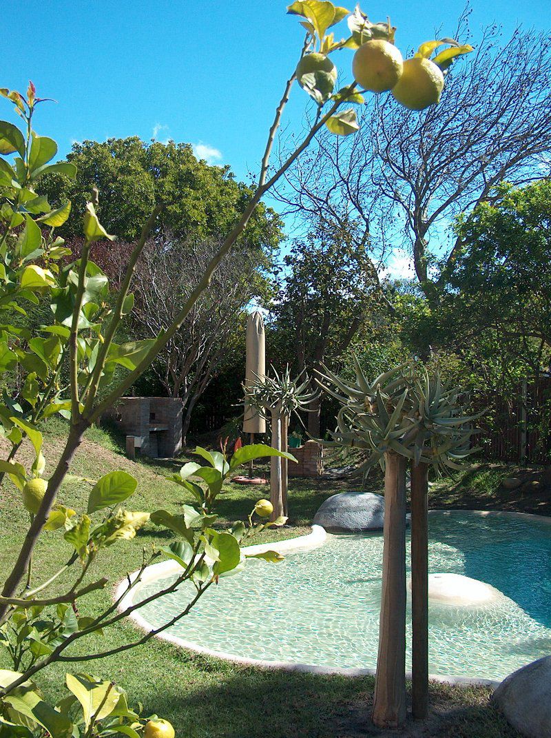 Le Palais D Afrique Pinelands Cape Town Western Cape South Africa Complementary Colors, Plant, Nature, Garden, Swimming Pool