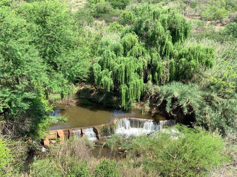 Lepelle Lodge Burgersfort Limpopo Province South Africa River, Nature, Waters, Tree, Plant, Wood