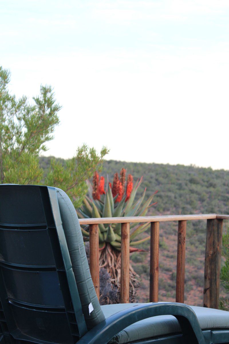 Le Petit Karoo Ranch Oudtshoorn Western Cape South Africa 