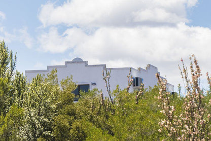 Le Petit Karoo Ranch Oudtshoorn Western Cape South Africa Complementary Colors