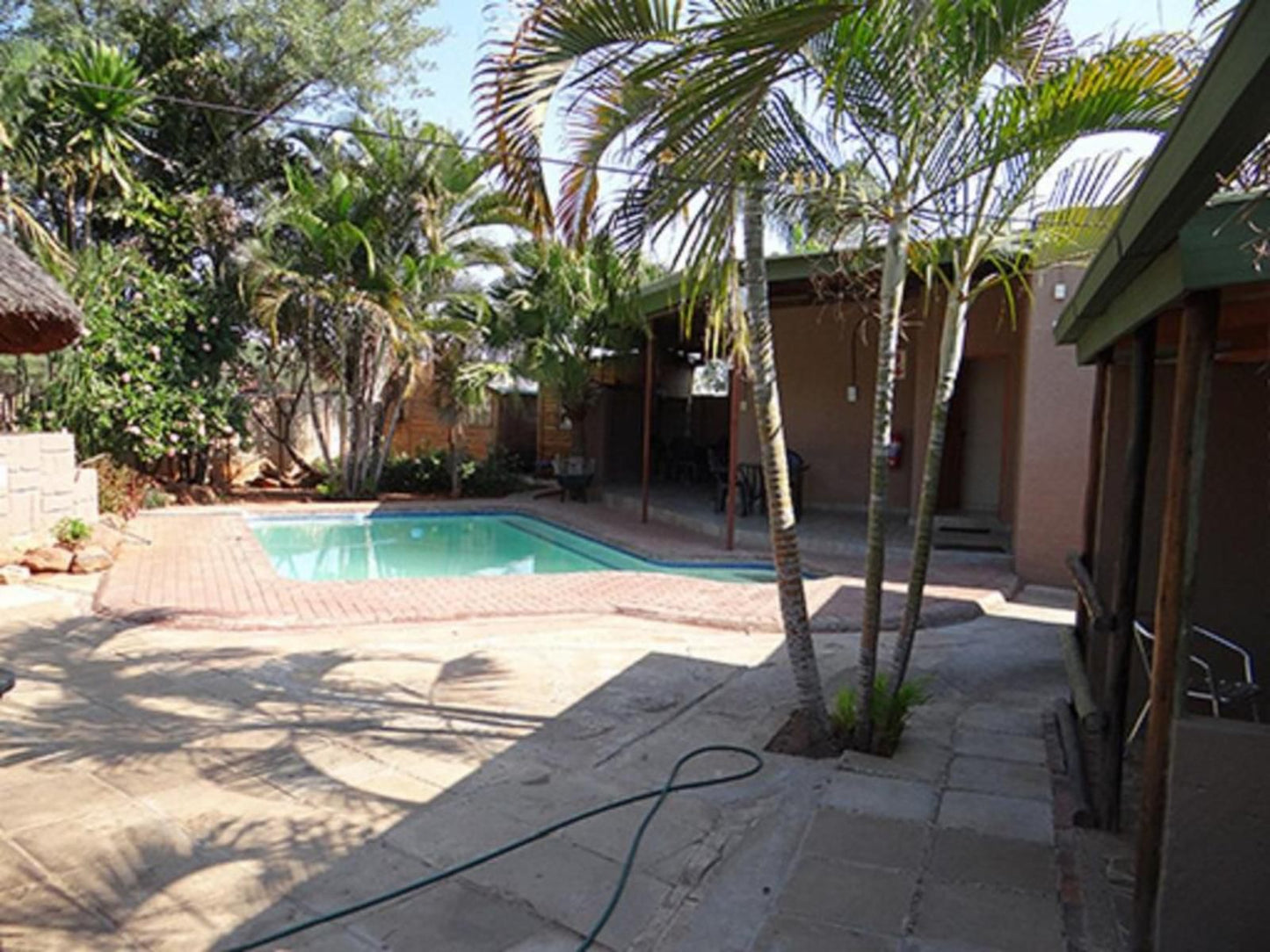 Lephalale Guest House Lephalale Ellisras Limpopo Province South Africa Palm Tree, Plant, Nature, Wood, Swimming Pool