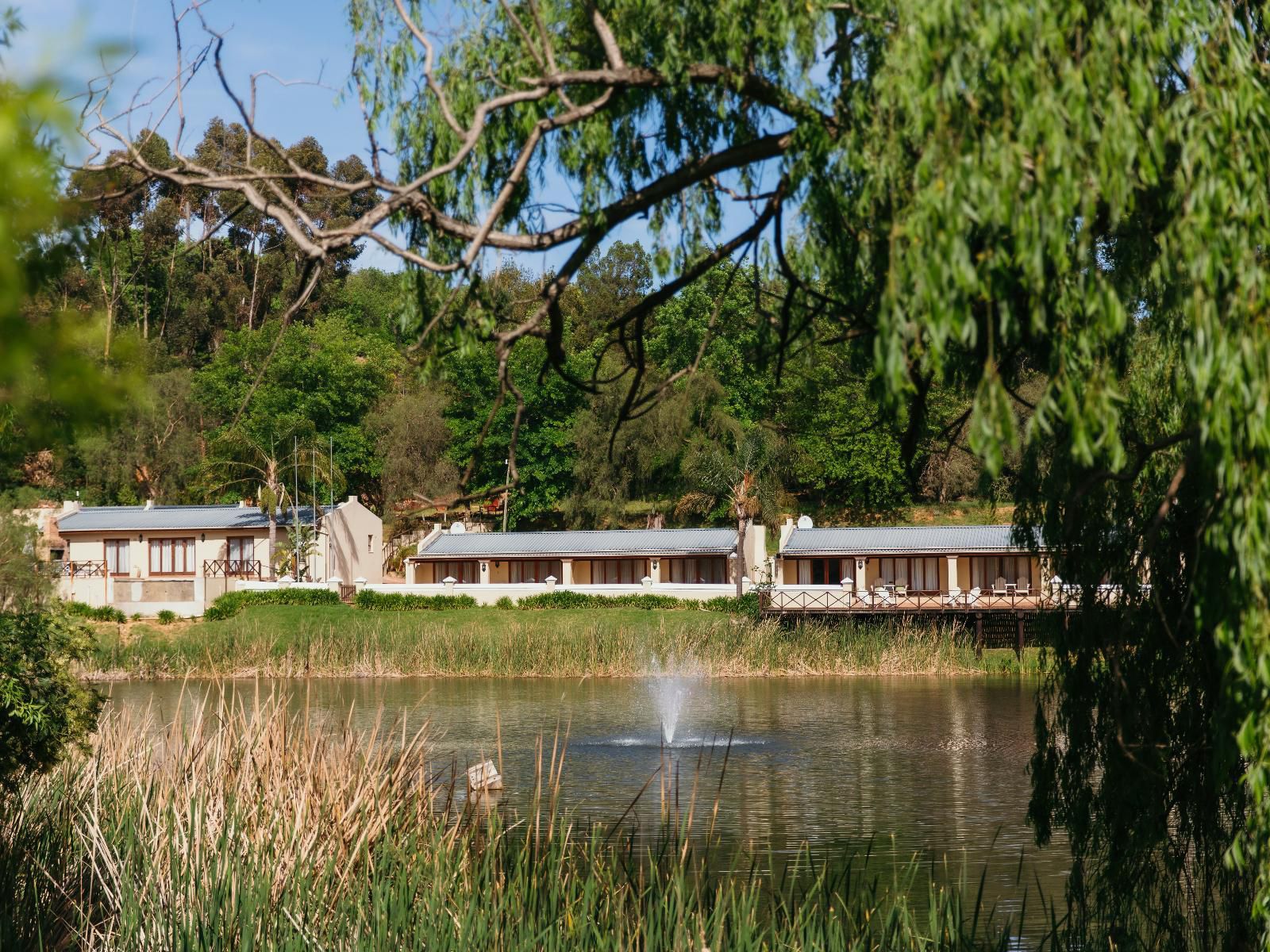 Le Pommier Wine Estate Stellenbosch Western Cape South Africa River, Nature, Waters