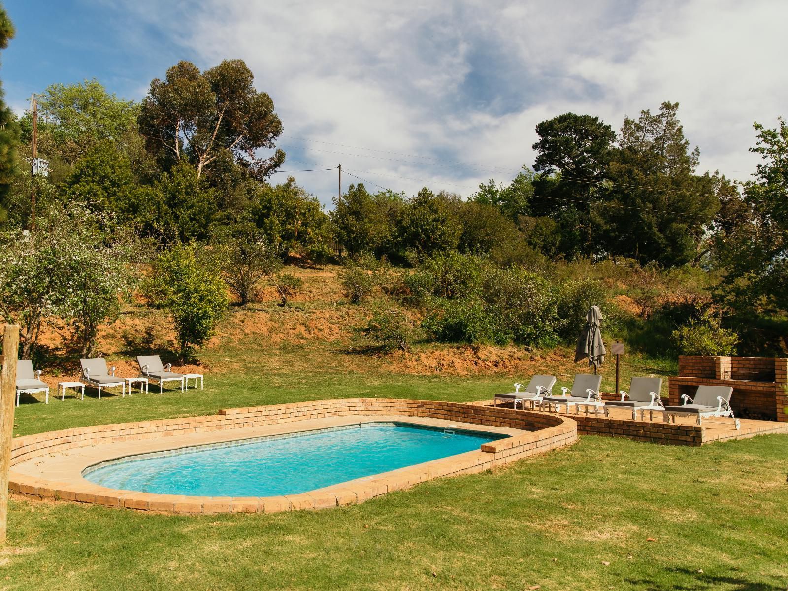 Le Pommier Wine Estate Stellenbosch Western Cape South Africa Garden, Nature, Plant, Swimming Pool