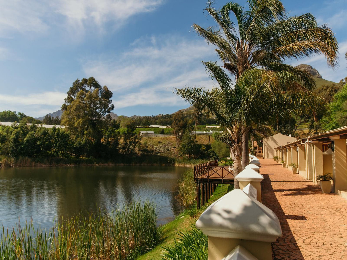 Le Pommier Wine Estate Stellenbosch Western Cape South Africa Complementary Colors, Palm Tree, Plant, Nature, Wood, River, Waters