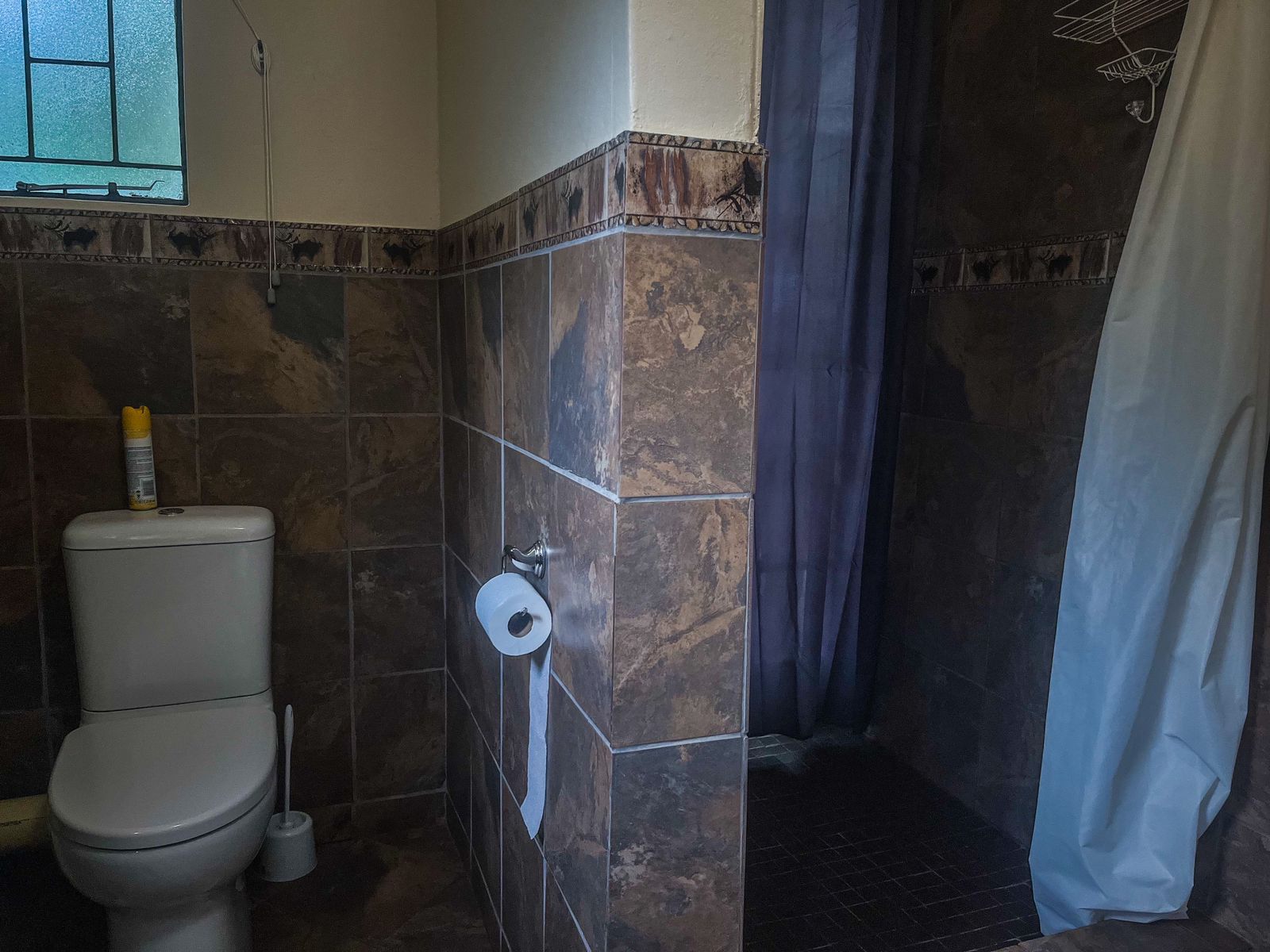 Leribisi Lodge And Conference Centre Tierpoort Pretoria Tshwane Gauteng South Africa Bathroom