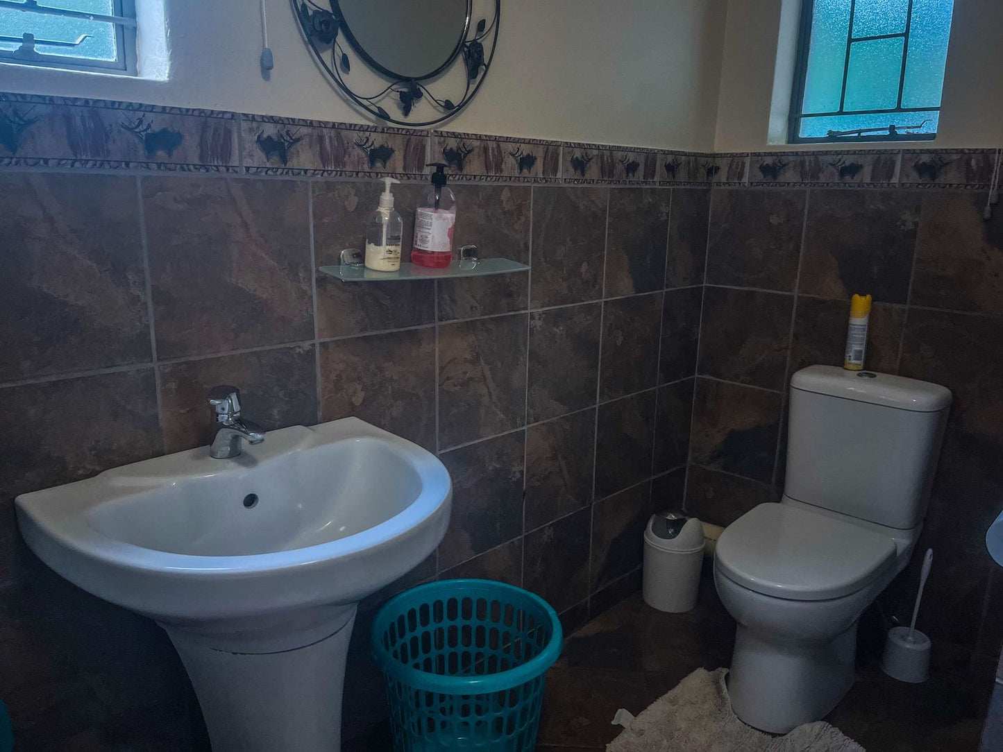 Leribisi Lodge And Conference Centre Tierpoort Pretoria Tshwane Gauteng South Africa Bathroom