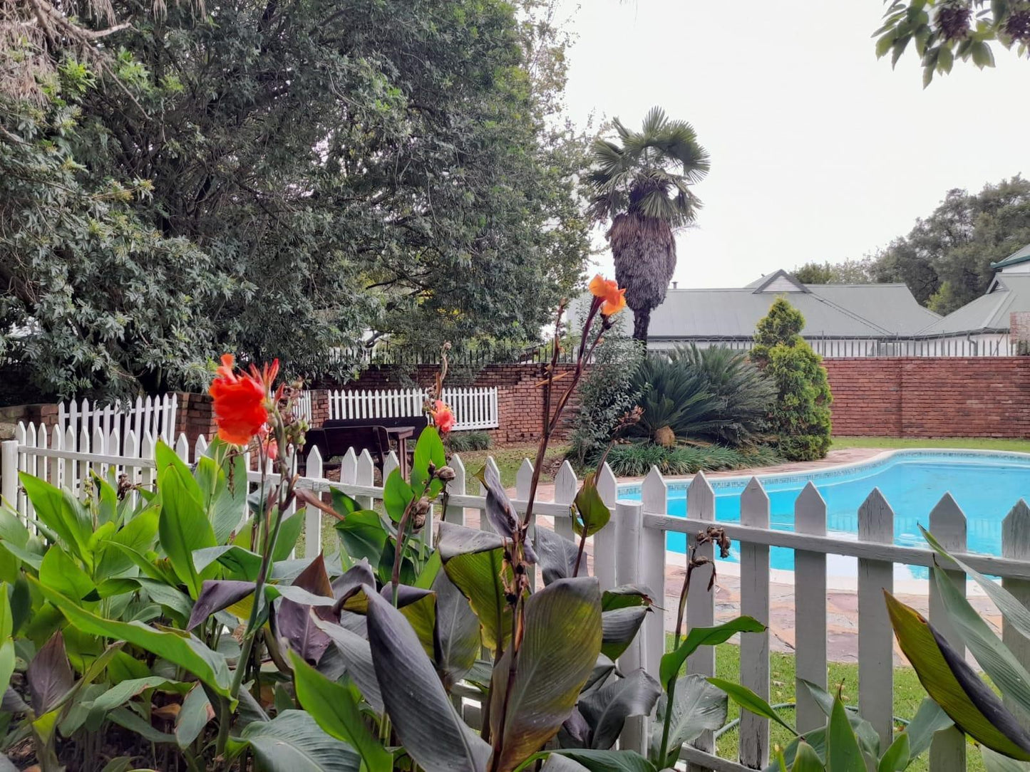 Lesedi Guesthouse Middleburg, House, Building, Architecture, Palm Tree, Plant, Nature, Wood, Garden