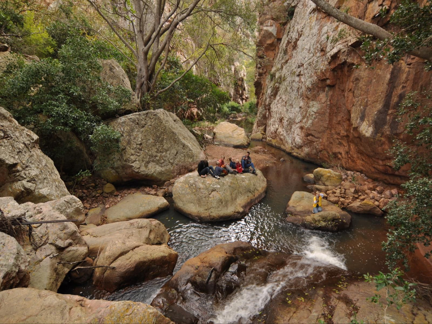 Leshiba Wilderness, River, Nature, Waters