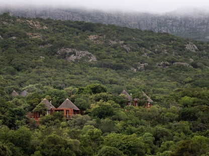 Leshiba Wilderness, Highland, Nature