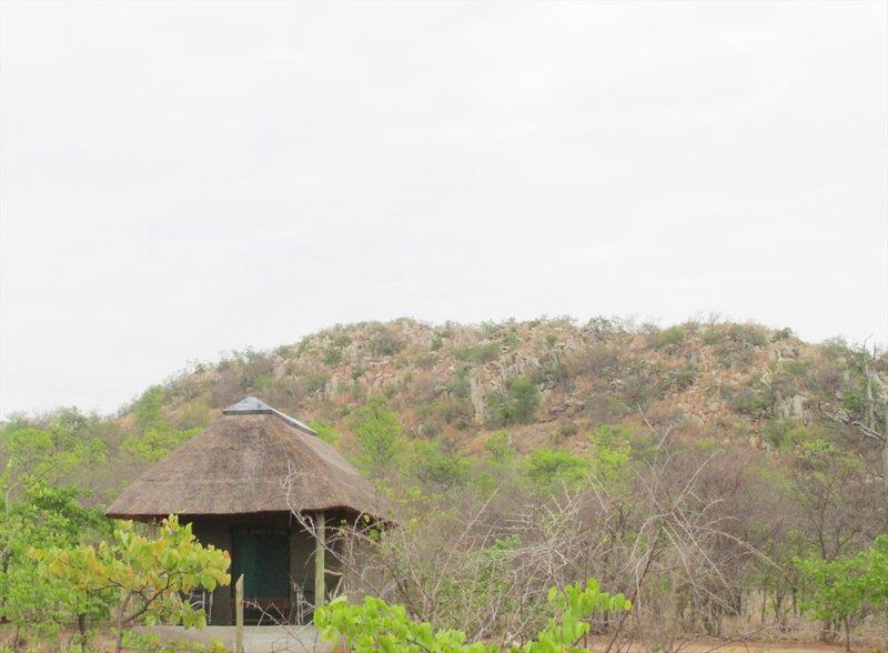 Letaba Safari Lodge Great Letaba Game Park Limpopo Province South Africa Building, Architecture