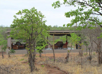 Letaba Safari Lodge Great Letaba Game Park Limpopo Province South Africa 