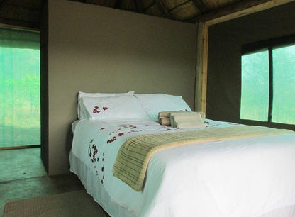 Letaba Safari Lodge Great Letaba Game Park Limpopo Province South Africa Bedroom