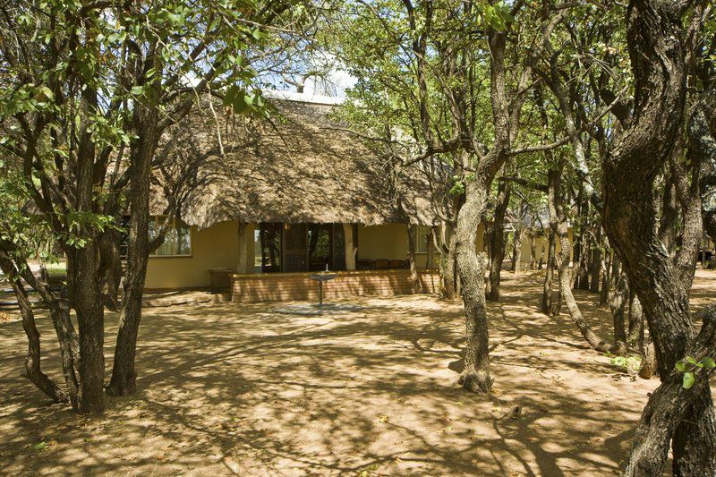 Letaba Rest Camp Kruger National Park Sanparks North Kruger Park Mpumalanga South Africa Sepia Tones