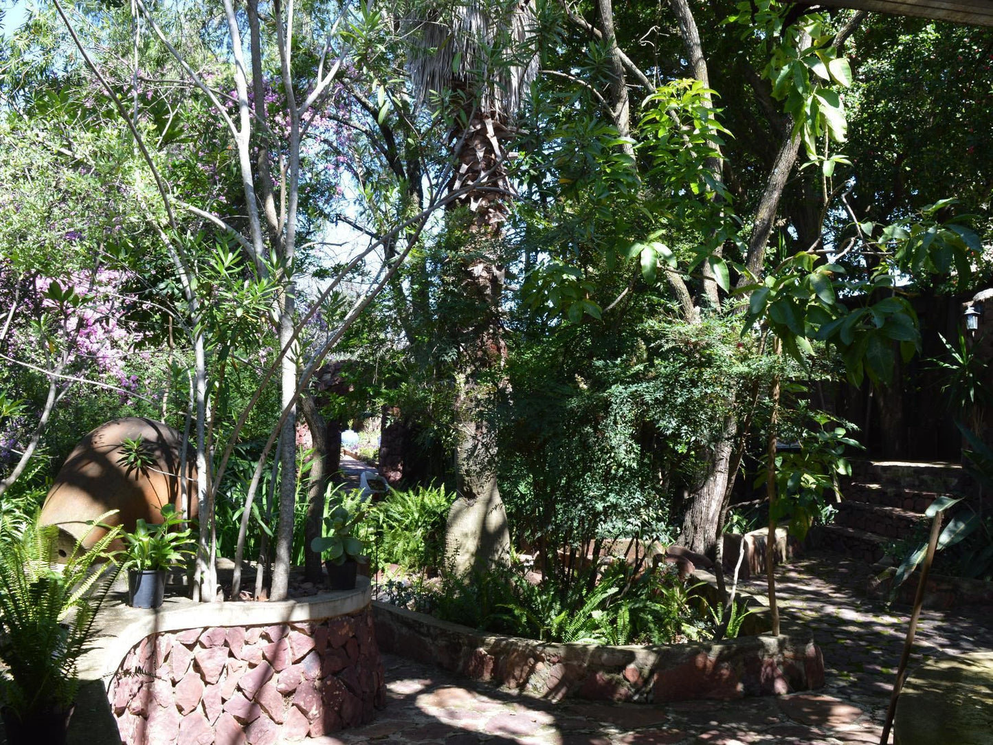 Lethabo Lodge, Palm Tree, Plant, Nature, Wood, Tree, Garden