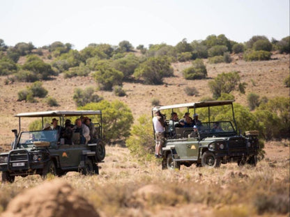 Letsatsi Game Lodge, Quad Bike, Vehicle, Desert, Nature, Sand, Person