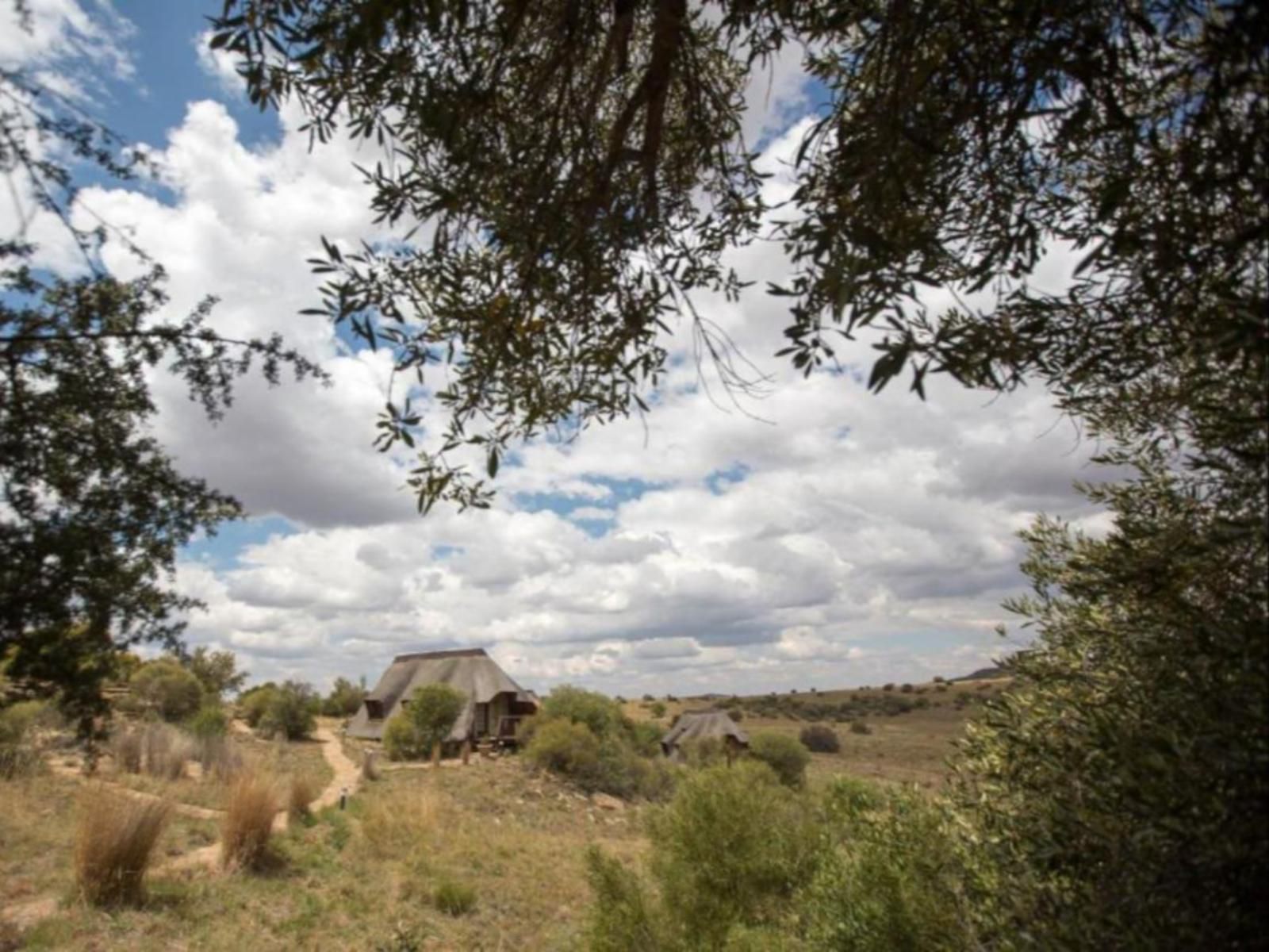 Letsatsi Game Lodge, Lowland, Nature