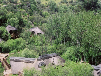 Letsatsi Game Lodge, Ruin, Architecture, Tree, Plant, Nature, Wood