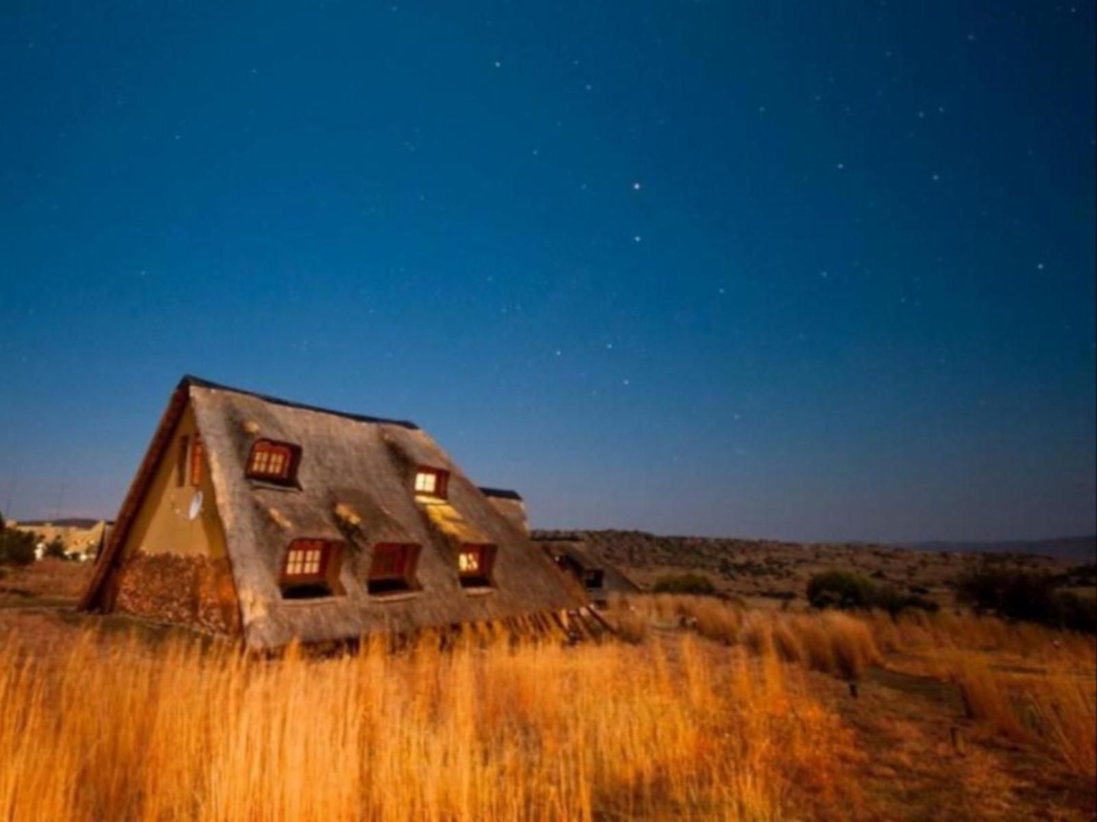 Letsatsi Game Lodge, Colorful, Barn, Building, Architecture, Agriculture, Wood