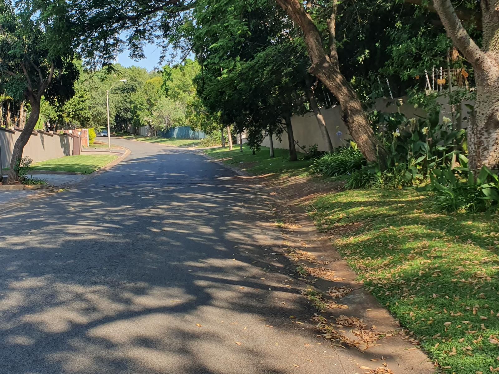 Letsatsing Lodge Rustenburg Central Rustenburg North West Province South Africa Palm Tree, Plant, Nature, Wood, Street