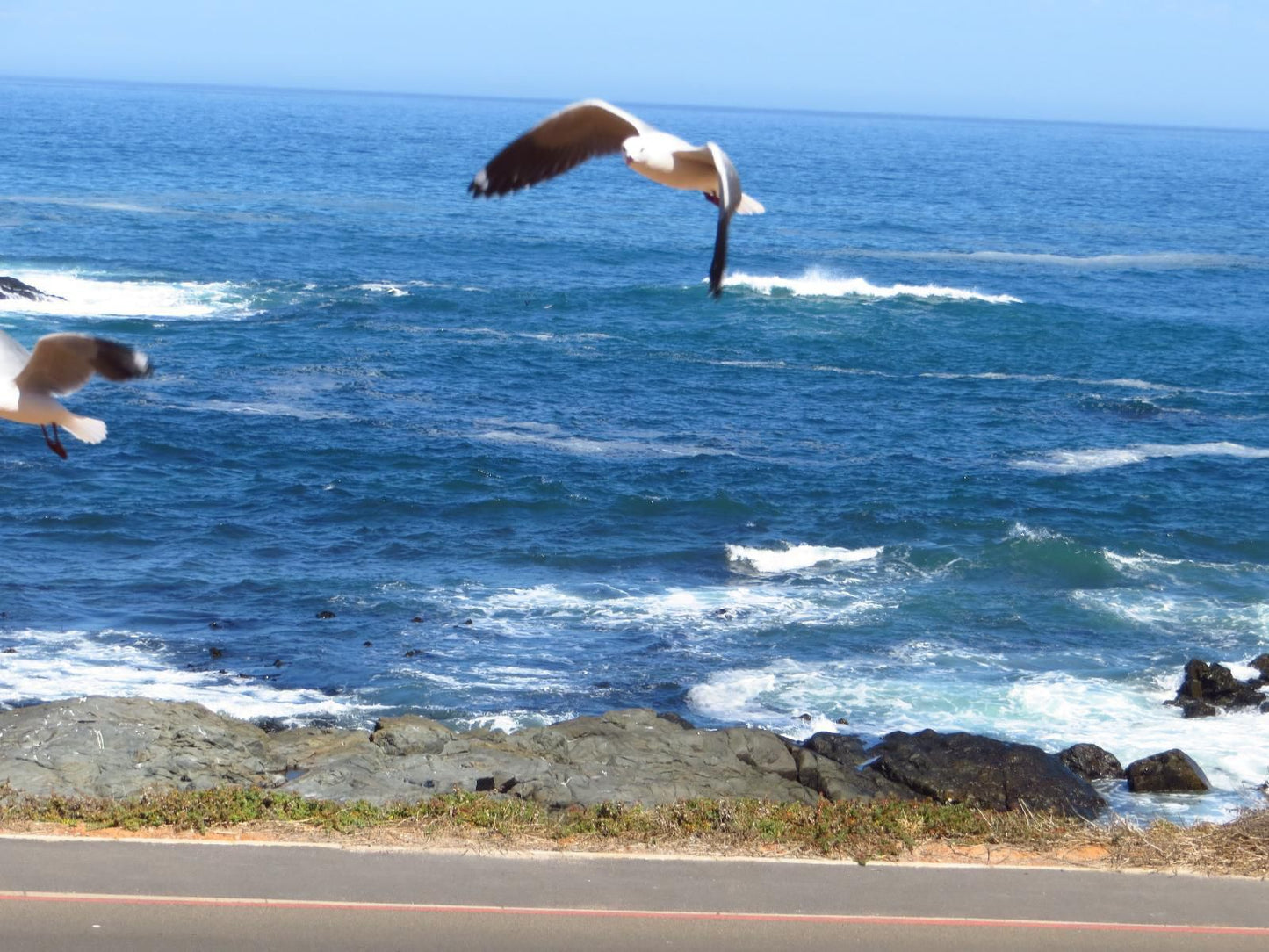 Lewens Essens On C Yzerfontein Western Cape South Africa Beach, Nature, Sand, Cliff, Ocean, Waters