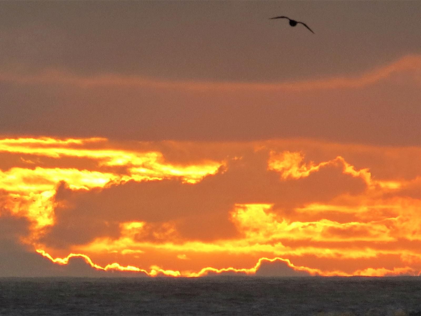 Lewens Essens On C Yzerfontein Western Cape South Africa Sky, Nature, Clouds, Ocean, Waters, Sunset