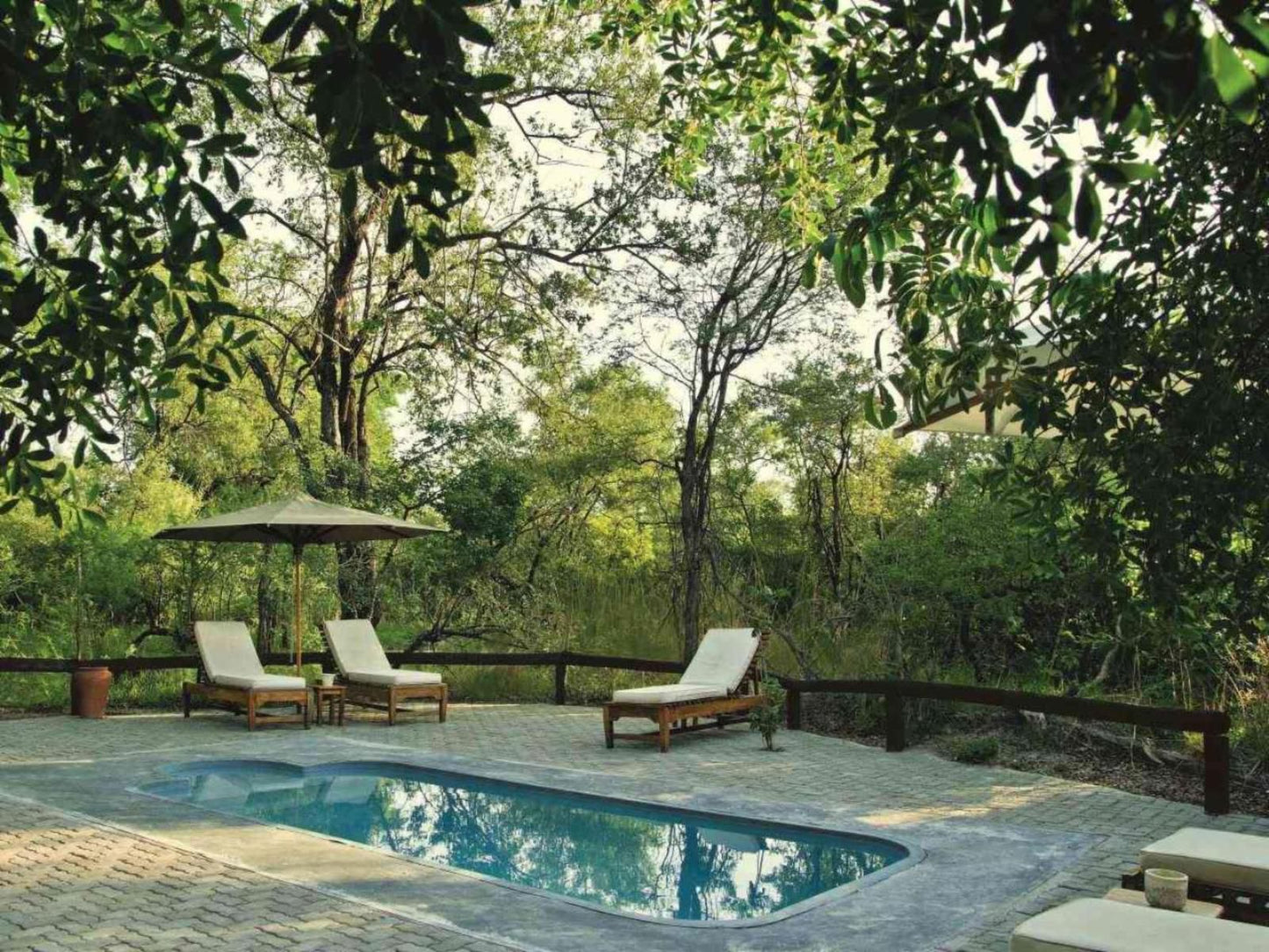 Lianshulu Bush Lodge, Tree, Plant, Nature, Wood, Swimming Pool