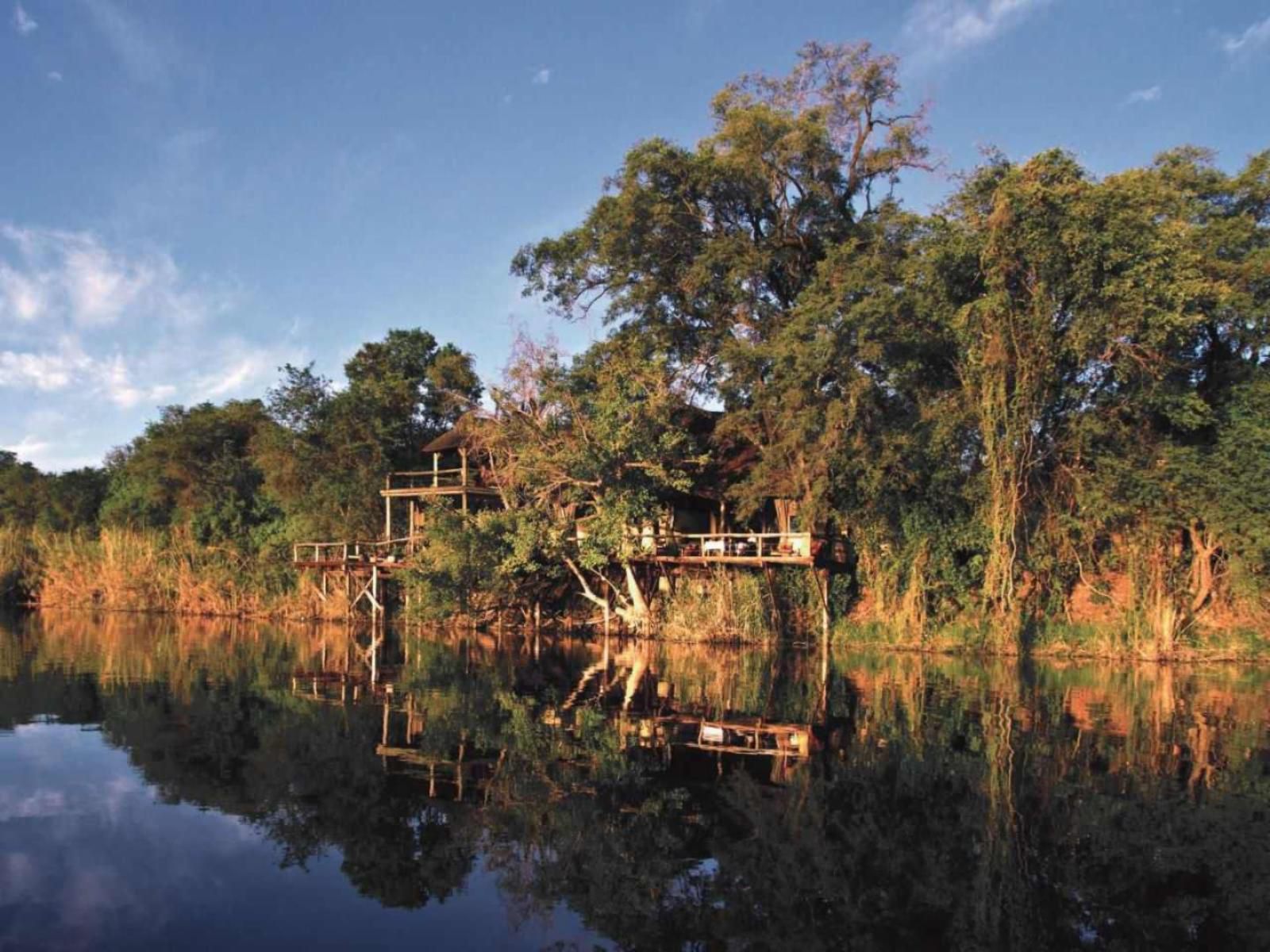 Lianshulu Lodge, River, Nature, Waters, Tree, Plant, Wood