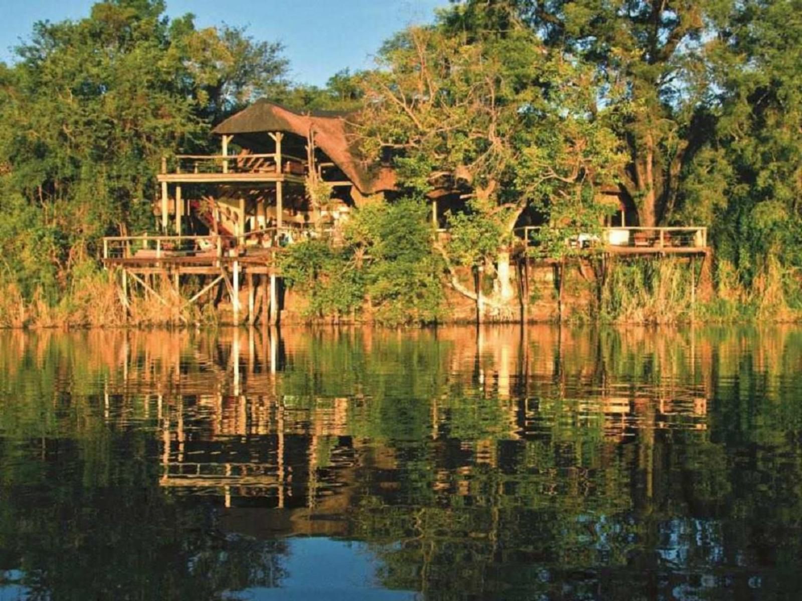 Lianshulu Lodge, River, Nature, Waters, Tree, Plant, Wood