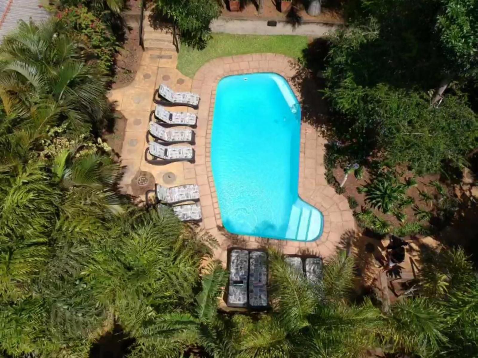 Lidiko Lodge, Palm Tree, Plant, Nature, Wood, Swimming Pool