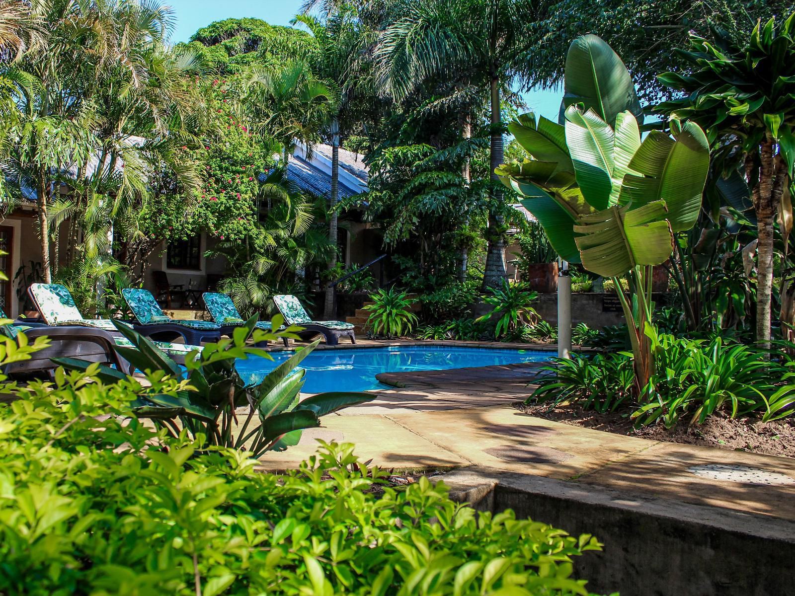 Lidiko Lodge, Palm Tree, Plant, Nature, Wood, Garden, Swimming Pool