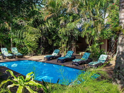 Lidiko Lodge, Palm Tree, Plant, Nature, Wood, Garden, Swimming Pool