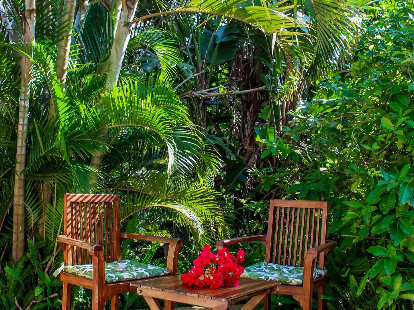 Lidiko Lodge St Lucia St Lucia Kwazulu Natal South Africa Palm Tree, Plant, Nature, Wood, Garden